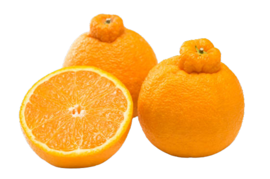 The Unique Appeal of Dekapon Citrus