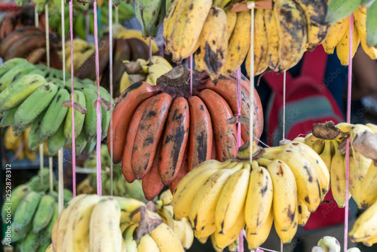 Bananas: A Fruitful Exploration of Taste and Health Benefits