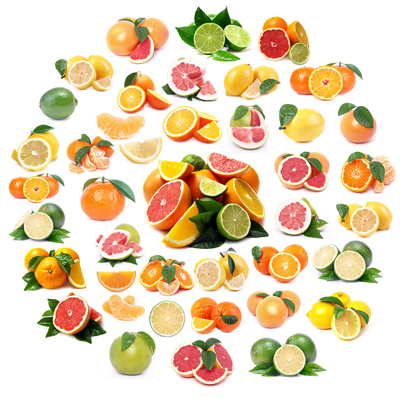 Grapefruit: A Citrus Gem – Varieties, Seasons, Benefits, and Flavors