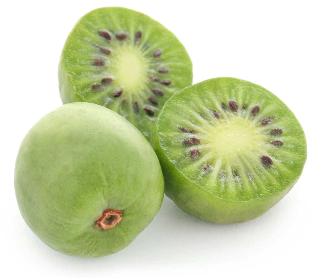 Discover the Delicious and Nutrient-Packed Kiwi Berry