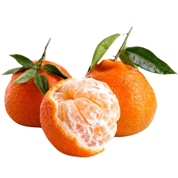 The Delightful World of Satsuma Citrus