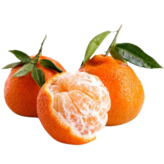 The Delightful World of Satsuma Citrus